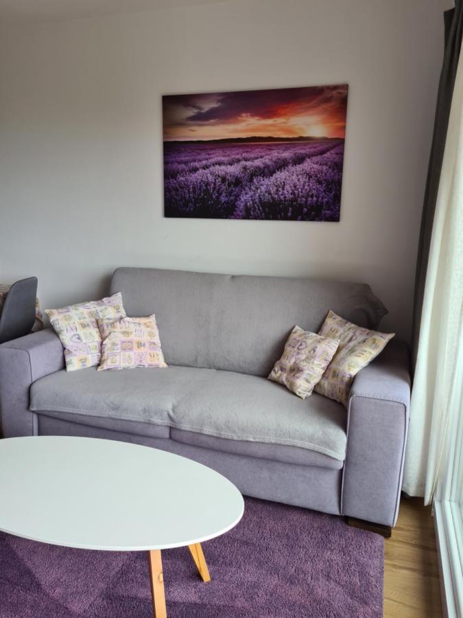 Apartman Luka Novigrad Istria Eksteriør bilde