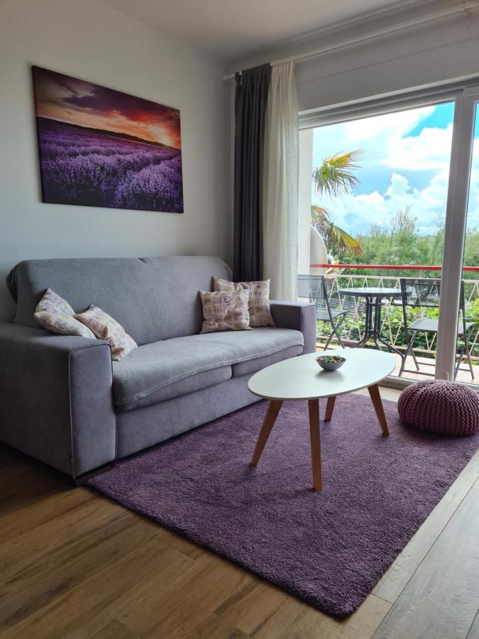 Apartman Luka Novigrad Istria Eksteriør bilde